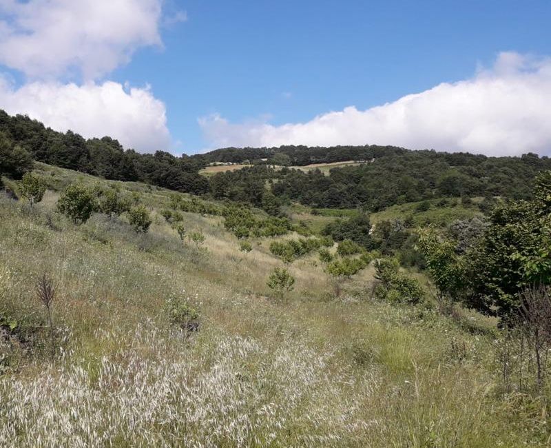 Satılık Arsa